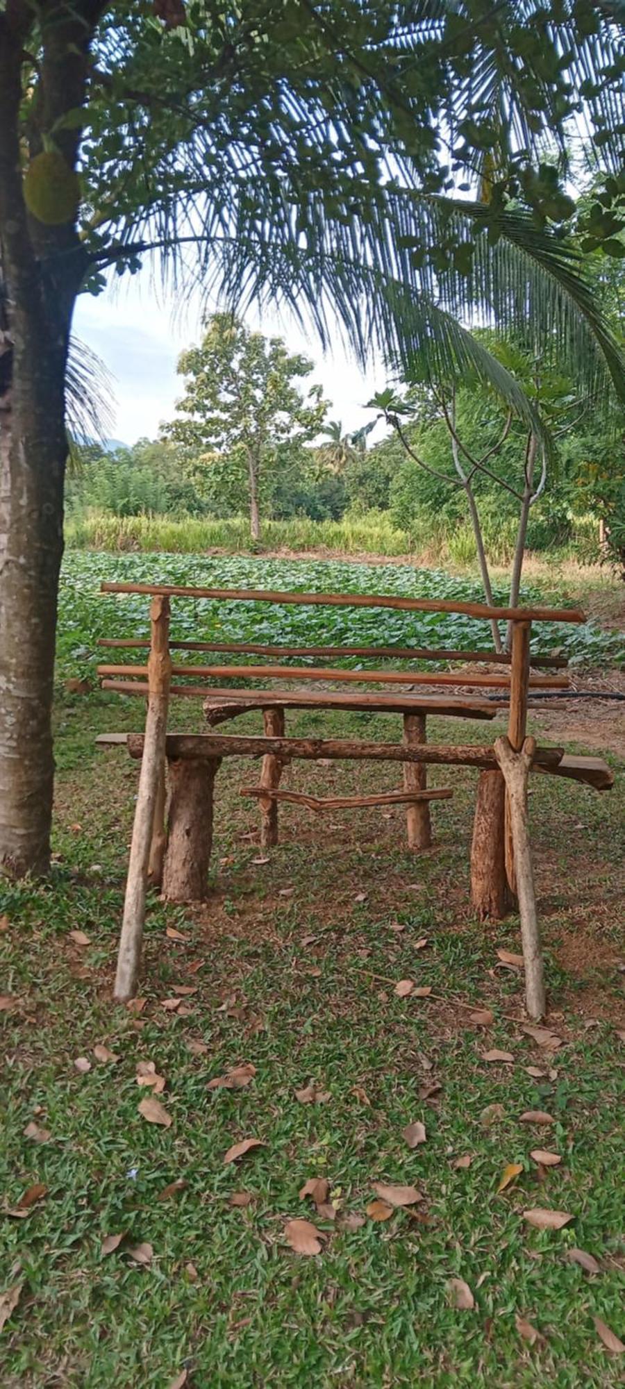 Gimhana Homestay Sigiriya Esterno foto